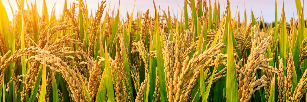 WhatsApp Image 2025-11-04 at 18.24.08_2ad23dec